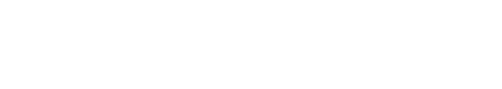 The BNextAI logo.